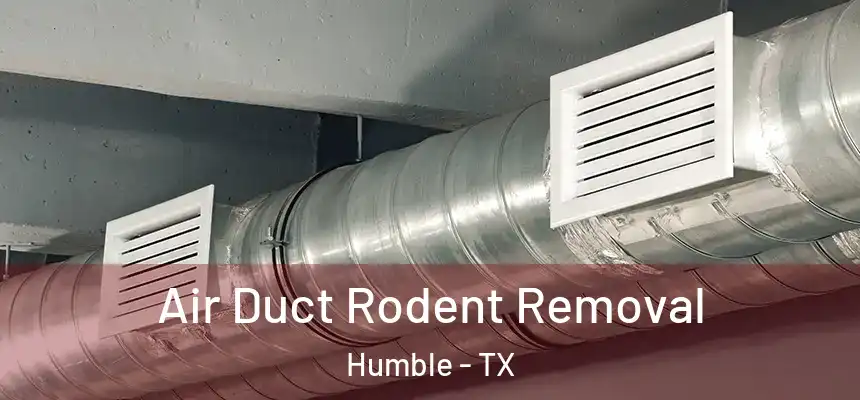  Air Duct Rodent Removal Humble - TX