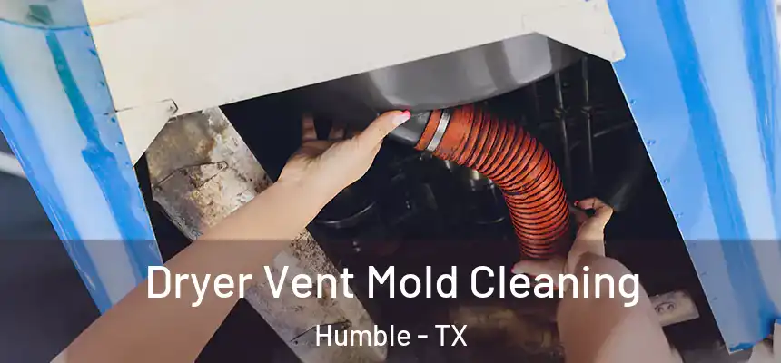  Dryer Vent Mold Cleaning Humble - TX