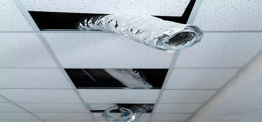 Affordable HVAC Sanitizing After Pest Removal in Humble