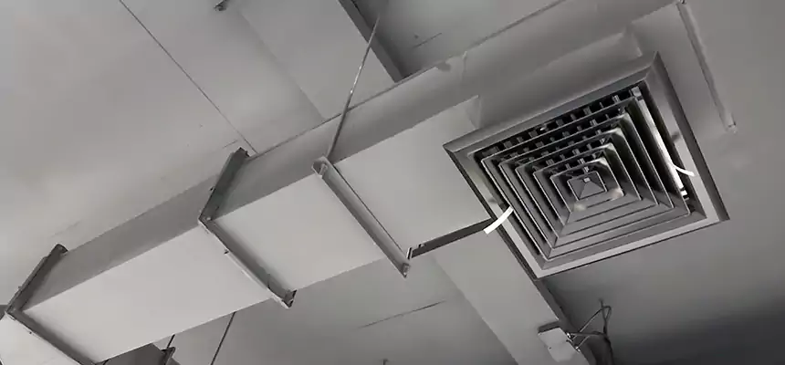 Our Rodent Droppings In Vents Services in Humble, TX