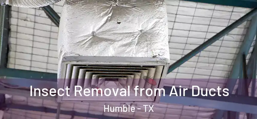  Insect Removal from Air Ducts Humble - TX