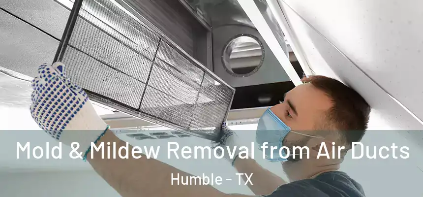  Mold & Mildew Removal from Air Ducts Humble - TX