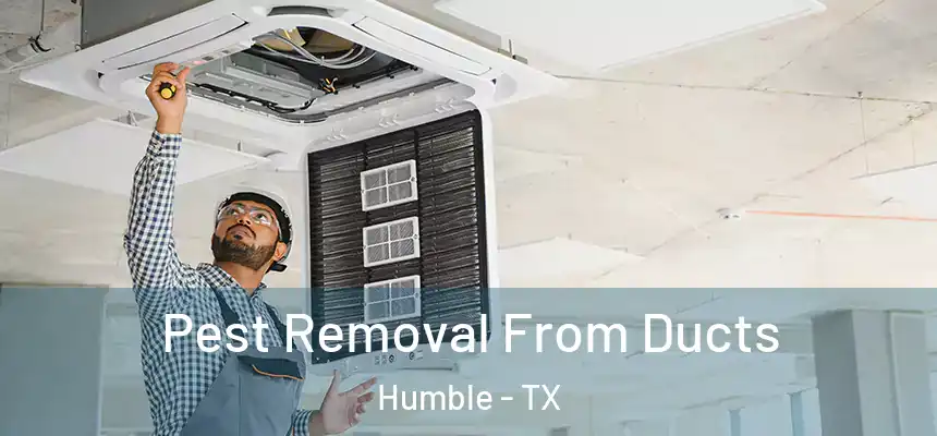  Pest Removal From Ducts Humble - TX