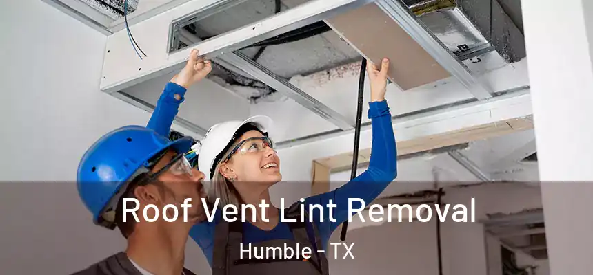  Roof Vent Lint Removal Humble - TX