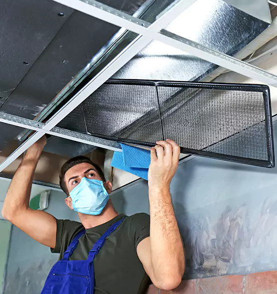 About Air Duct Bacteria Removal in Humble