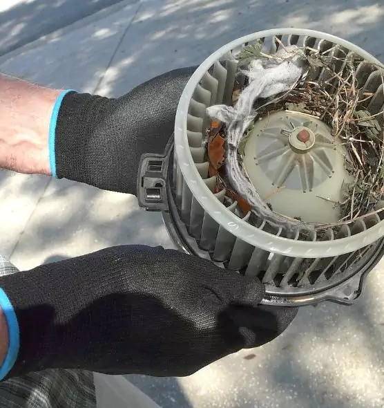 About Air Duct Rat Removal in Humble, TX