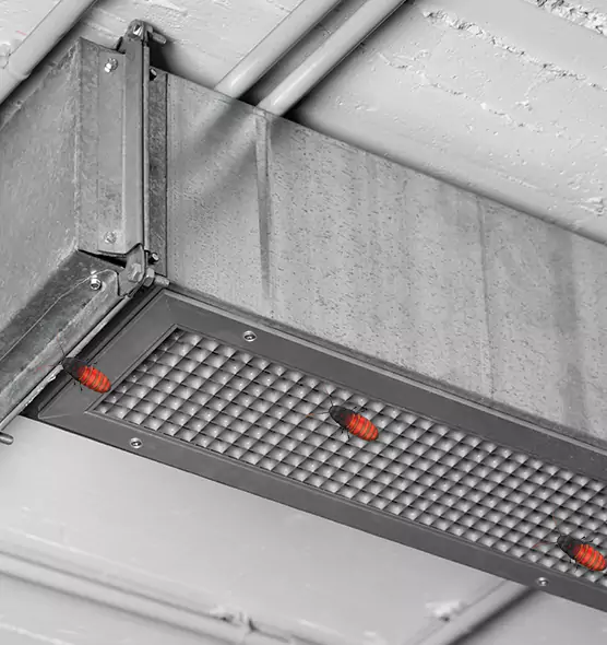 Affordable Insect Removal from Air Ducts in Humble, TX
