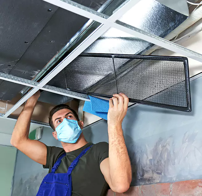 Why Homeowners & Businesses Trust Us in Humble, TX?